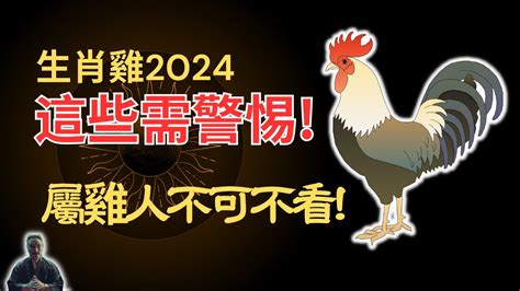 生肖雞的幸運色|2024屬雞幾歲、2024屬雞運勢、屬雞幸運色